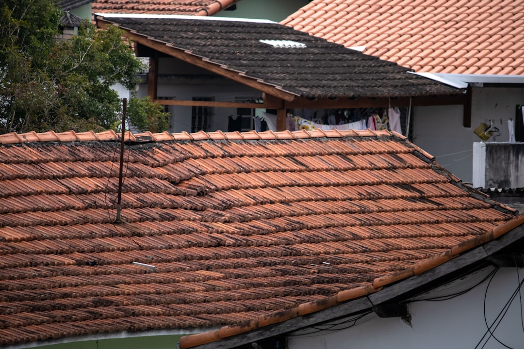 Vigtigheden af algerens af tage og vedligeholdelse af dit hus